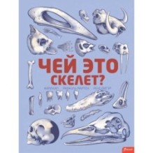 Чей это скелет? (с клапанами)