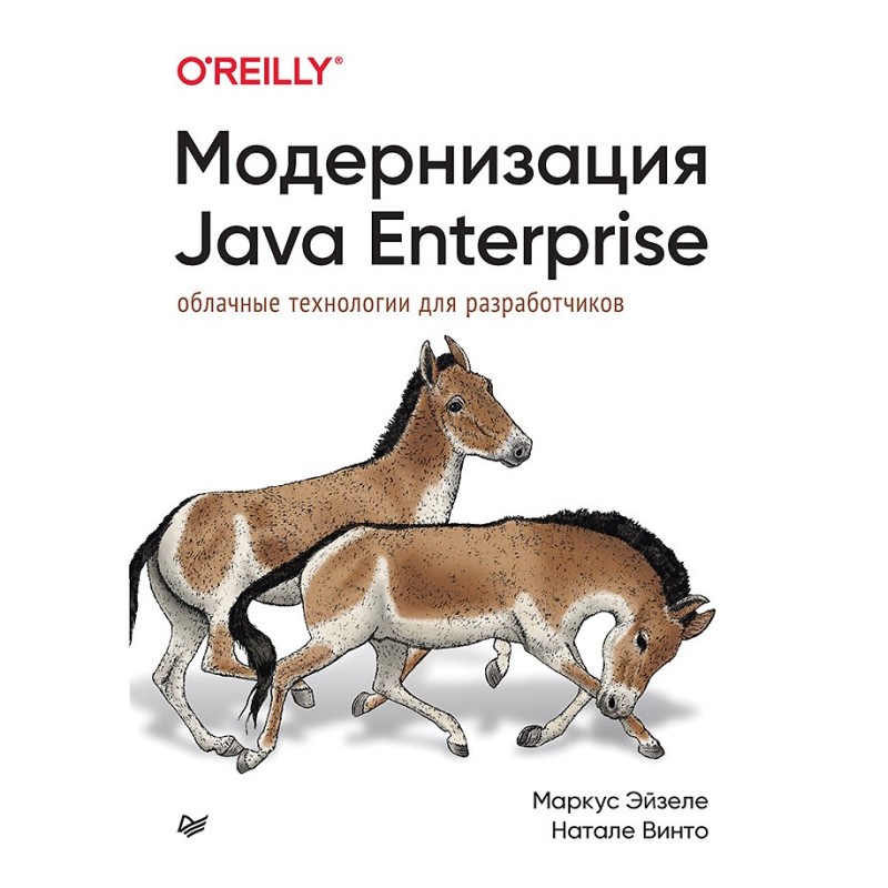 Модернизация Java Enterprise: облачные технологии для разработчиков Модернизация Java Enterprise: облачные технологии для разработчиков