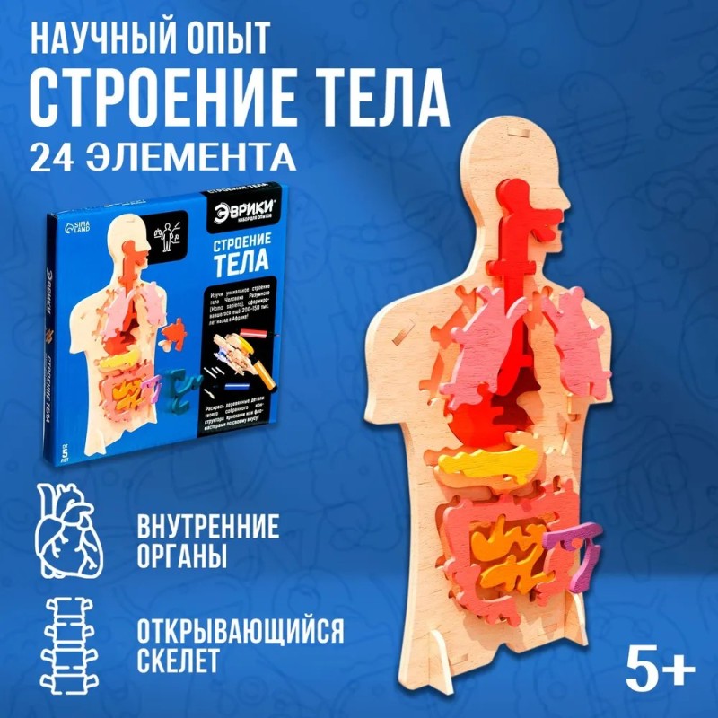 Научный опыт Эврики "Строение тела человека"