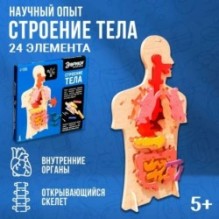 Научный опыт Эврики "Строение тела человека"
