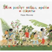 Как растут ягоды, орехи и фрукты?