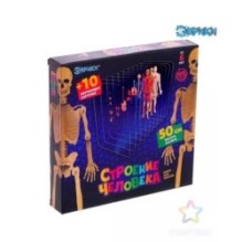 Набор для опытов и экспериментов "Строение человека" для детей