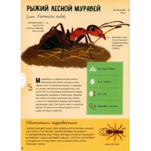 Кто появляется на свет из яйца?