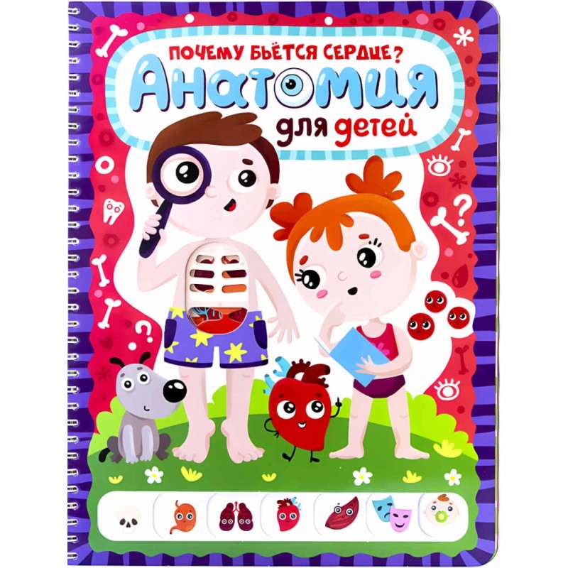 ЗнаникУМ. Анатомия