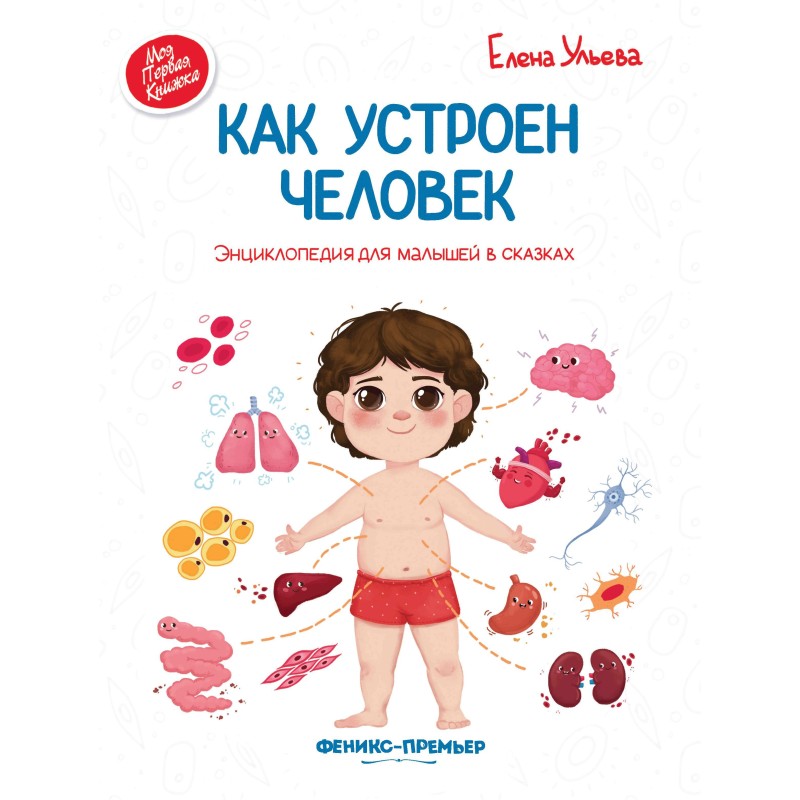Как устроен человек:энцикл.для малышей в сказ.дп