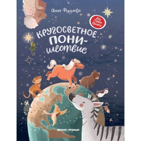 Кругосветное ПОНИшествие