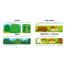 Лес: энциклопедия для малышей в картинках