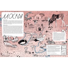 Дикие города