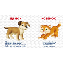 Книжки - картонки. Домашние животные