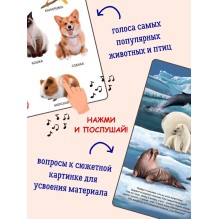 50 звуков. Животные