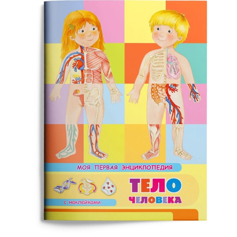 Книжка с наклейками. Моя первая энциклопедия. Тело человека
