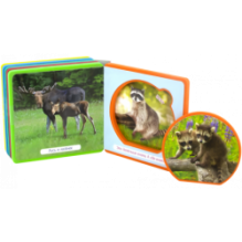 "Книжка с мягкими пазлами". Мои первые книжки. Лесные животные