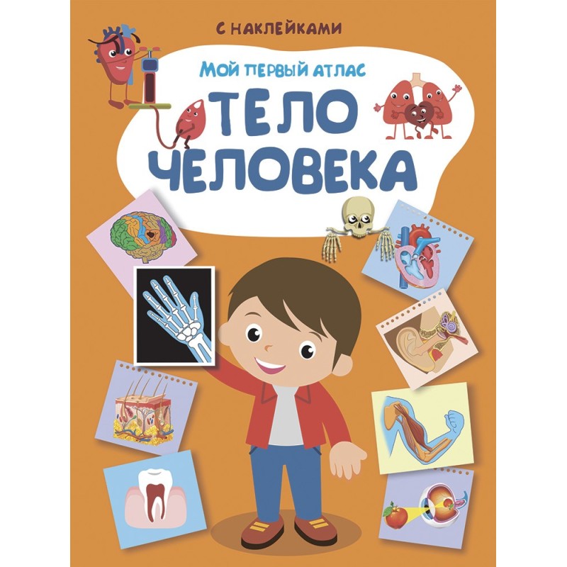 Книжка с наклейками. Мой первый атлас. Тело человека