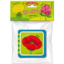 Мини-книжки ЭВА. Что здесь растёт? На лугу