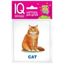 Умный малыш. ENGLISH. Домашние питомцы. Набор карточек для детей.