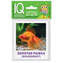 Умный малыш. Аквариумные рыбы. Набор карточек для детей.