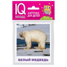 Умный малыш. Животные полярных широт. Набор карточек для детей.