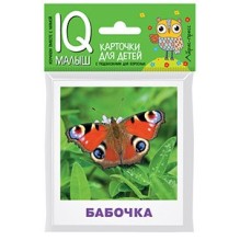 Умный малыш. Насекомые. Набор карточек для детей.