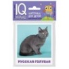 Умный малыш. Породы кошек Набор карточек для детей.