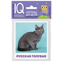 Умный малыш. Породы кошек Набор карточек для детей.