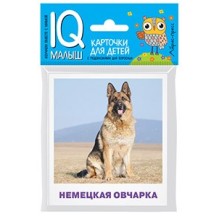 Умный малыш. Породы собак Набор карточек для детей.