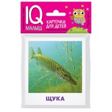 Умный малыш. Пресноводные рыбы. Набор карточек для детей.
