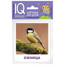 Умный малыш. Птицы. Набор карточек для детей.