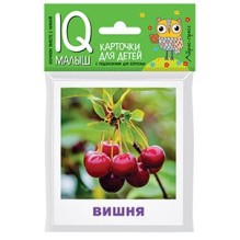 Умный малыш. Что растёт в саду? Набор карточек для детей.