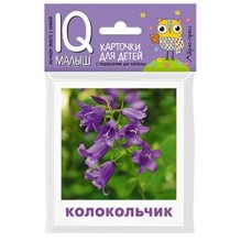 Умный малыш. Что растёт на клумбе? Набор карточек для детей.