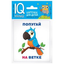 Умный малыш. Кто где находится? Набор карточек для детей.