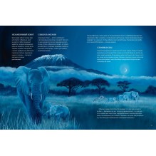 Все ли спят ночью?