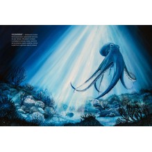 Все ли спят ночью?