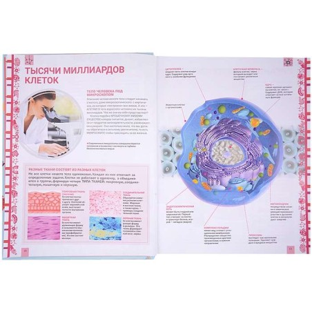 Человек. Большая энциклопедия