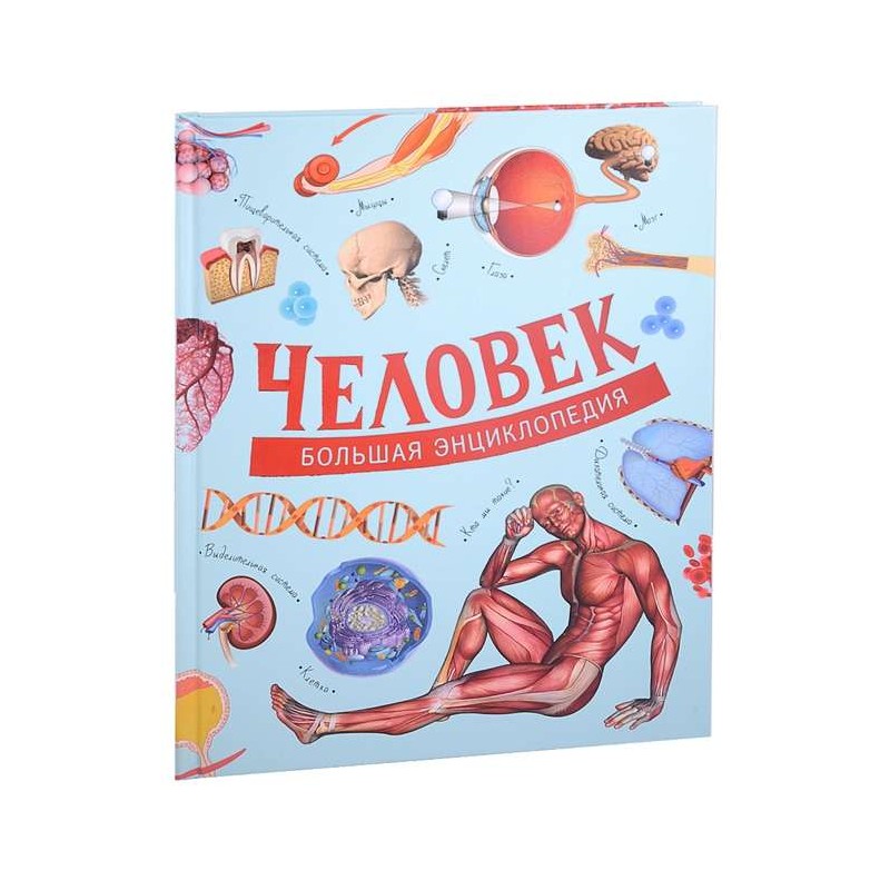 Человек. Большая энциклопедия