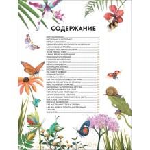 Детская энциклопедия насекомых