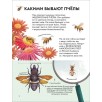 Детская энциклопедия насекомых