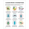 Детская энциклопедия насекомых