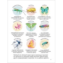 Детская энциклопедия насекомых