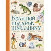 Большой подарок школьнику Большой подарок школьнику
