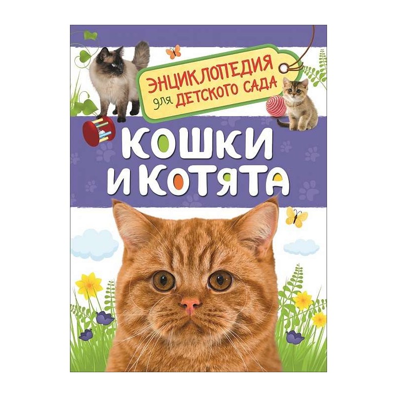 Кошки и котята (Энциклопедия для детского сада)