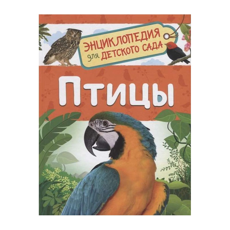 Детеныши животных (Энциклопедия для детского сада)