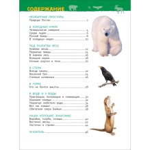 Животные России (Энциклопедия для детского сада)