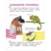 Домашние любимцы. Энциклопедия для первого чтения с крупными буквами