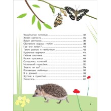 Домашние любимцы. Энциклопедия для первого чтения с крупными буквами