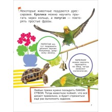 Домашние любимцы. Энциклопедия для первого чтения с крупными буквами