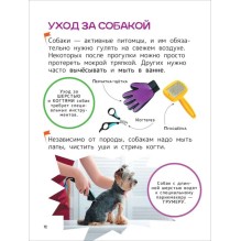 Домашние любимцы. Энциклопедия для первого чтения с крупными буквами