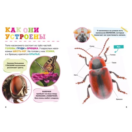 Насекомые. Первая энциклопедия малыша