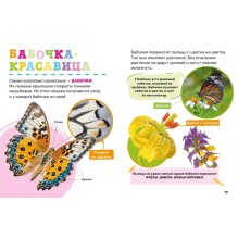 Насекомые. Первая энциклопедия малыша