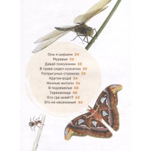 Насекомые. Первая энциклопедия малыша