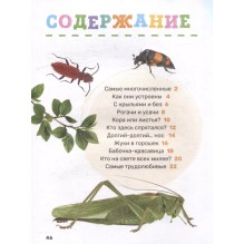 Насекомые. Первая энциклопедия малыша
